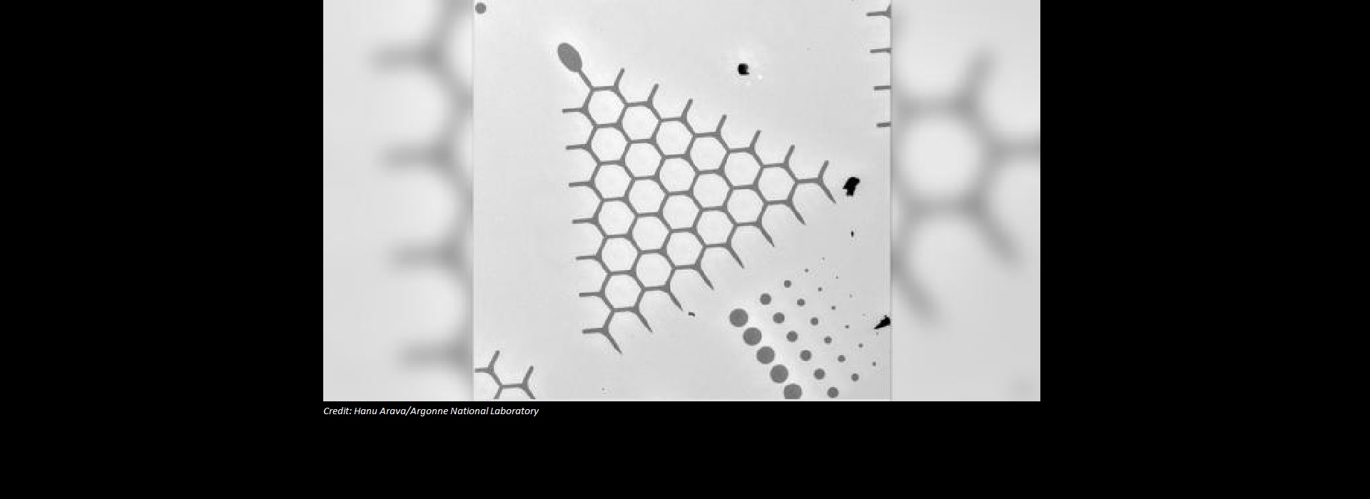 anl