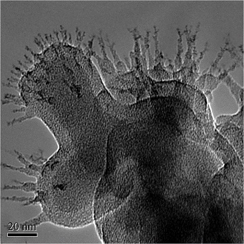 Organic compounds in a CMP slurry showing the tail structures that aid in retaining the mechanical and abrasive properties of the metal oxide nanoparticles in the slurries