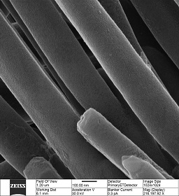 Surface texture characteristics of nickel nanowires 