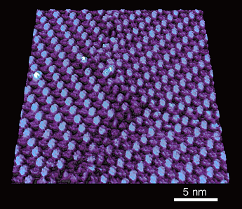 The image shows molecules of perylenetetracarboxylic dianhydride self-assembling on the surface of a silver crystal, forming well-ordered herringbone-like patterns with periodic height variations