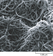 SEM image of CNT paper