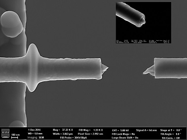 SEM image of tensile deformation failure of a co-axial nanowire