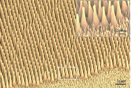 image of a polymeric nanocone array