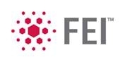 FEI logo