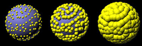 Computer simulation of growth of gold nanoshell with silica core and over-layer of gold