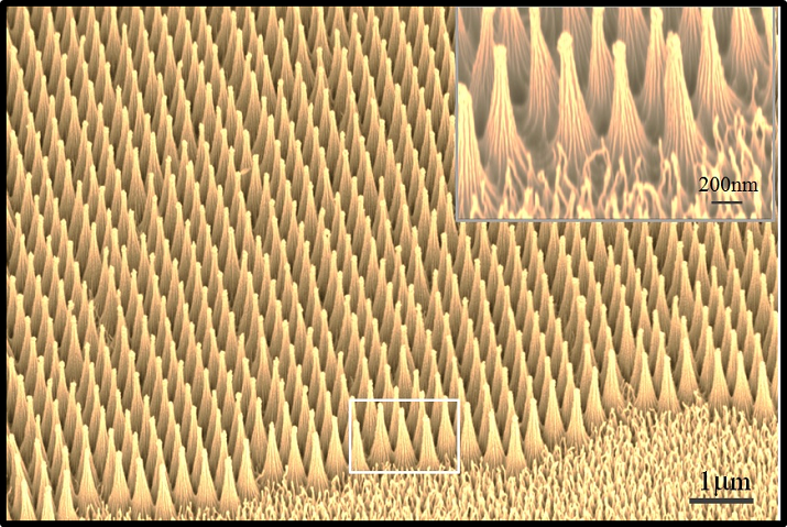nanocones winning image