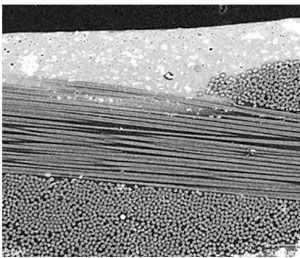 High resolution micrograph of polymer-silicate nanocomposite from NASA