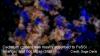 Cadmium