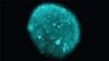 Nanoparticle illustration