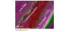 New nanomaterial-based batteries are lighter, faster-charging