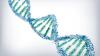 DNA illustration