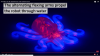 Simulation of octobot, a clear gel, plastic spider with visible lights inside