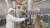 Researcher at Brookhaven in protective clothing
